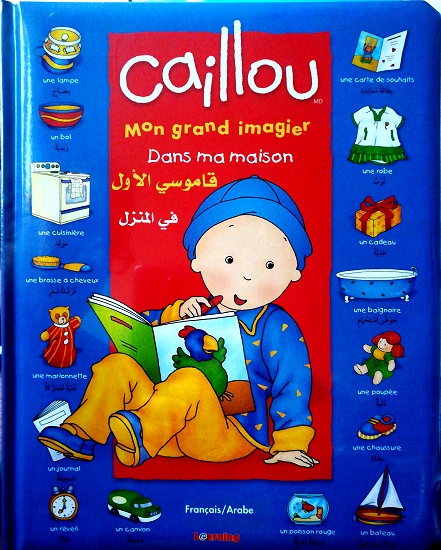 Pack : Mon Grand Imagier dictionnaire Bilingue (arabe-français) + DVD Mon  Imagier bilingue