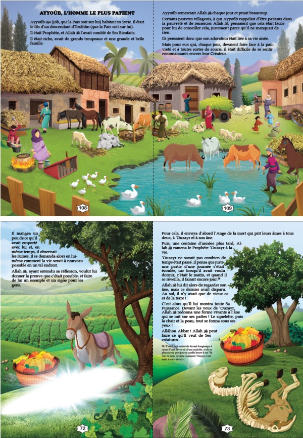 Livres illustrés Les plus belles histoires pour les enfants de 5