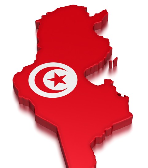 T-Shirt personnalisable Tunisie (le drapeau tunisien à l'intérieur des  frontières tunisiennes) - Prêt à porter et accessoires sur